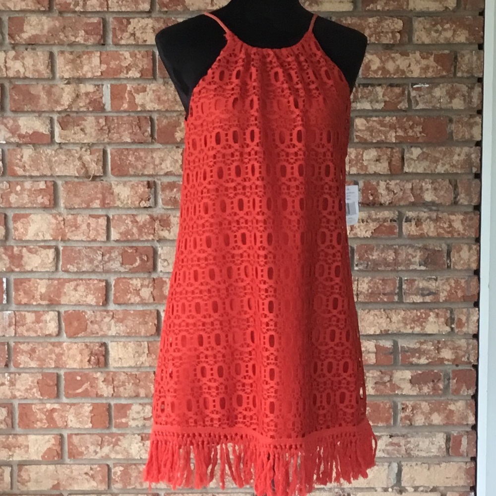 NWT Jodi Kristopher Crocheted Dress